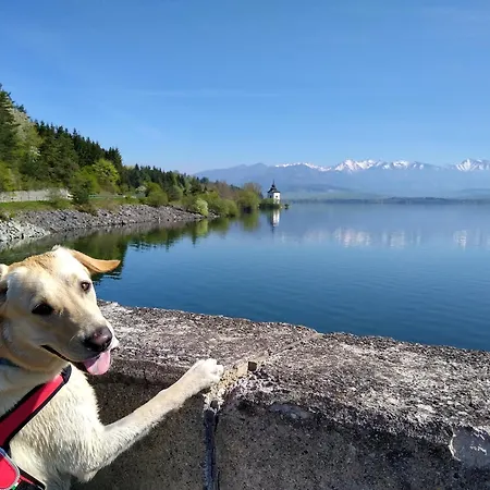 Shelly 公寓 Vlachy