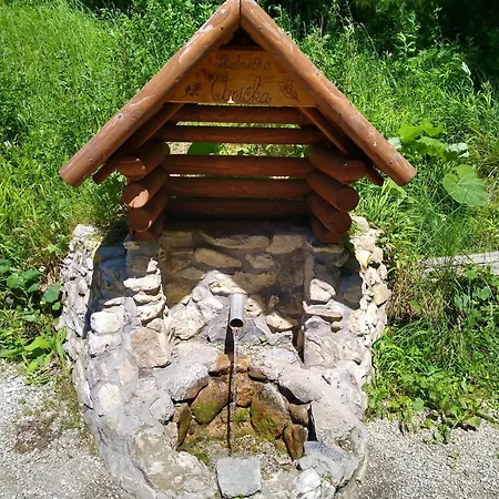 Shelly Lejlighed Vlachy